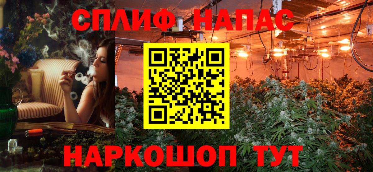 Борисоглебск  Бошки марихуана OG Kush  Вход с VPN  Марихуана SATIVA & INDICA  Шишки марихуана SATIVA & INDICA  Шишки марихуана сатива 